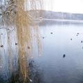Zeesener Badestelle im Winter (tn_100_4019.jpg) Zeesner See im Landkreis Dahme Spreewald